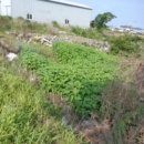 영락리 마을회관 이미지