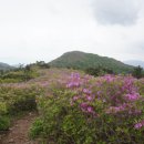 좋은 아침 이미지