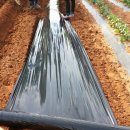 현중농장 이미지