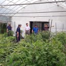 성천농장 이미지