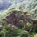 운학2리마을회관 이미지