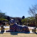 광산구-127 | 광주 당일치기 여행, 야구 보러 광주로 고고씽!