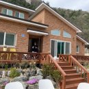 헬로우댕댕 이미지