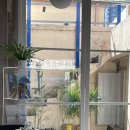 라이커밀 이미지