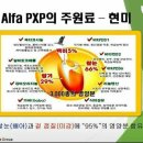 쌀눈나라 네이버블로그