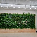 영주시립노인전문요양병원 이미지