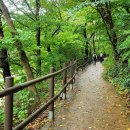 주천면사무소 이미지