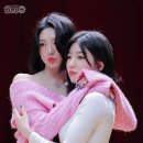 신위 카카오 검색결과