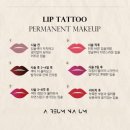 나움병원 | [역삼반영구화장] 아름나움 (구 Y.S뷰티클럽)에서 입술반영구로 쌩얼자신감!💋