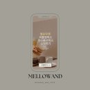 로그린 | ✨임신축하박스&출산축하박스 체험단! 멜로우앤 리틀원박스 신청하세요 (신생아 육아맘 필수 이벤트!)