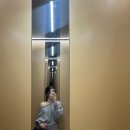 조히네일