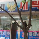 롯데명품세탁 이미지