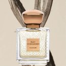 숲속의향기 이미지