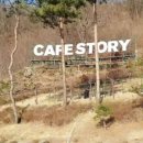 하랑이랑 애견카페 이미지