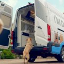 이:은동물병원 이미지