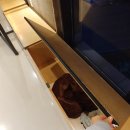 다독다독애견카페 이미지