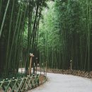 KTX울산역안내소 이미지