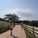 무도목장 이미지