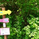 성수면행정복지센터 | 고원길 3구간 내동산 도는 길(백운면행정복지센터~성수면행정복지센터):② 걷기 좋고 예쁜 임도, 우연히...