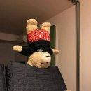 오96 | 누피 | HALO96 V2 아이오닉 화이트 – 저소음 키보드 추천 누피 헤일로