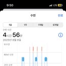 갈치와고갈비
