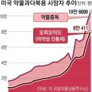 G2 新아편전쟁… 美 ‘中 펜타닐 제재법’ 동시다발 맹공 이미지