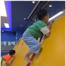 용인대 청명 태권도 이미지