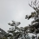 용봉산자연휴양림 이미지