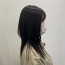 다겸헤어 네이버블로그