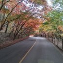 시티원부동산중개 이미지