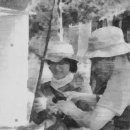 성일카 랜드 이미지