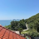 여울애견 이미지