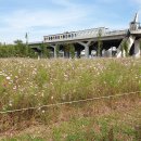 한강 자전거도로3 이미지