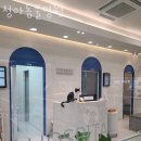 청아동물병원 | 인천 청학동 동물병원 청아동물병원 위치 오는길 후기