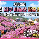비슬산 참꽃문화제 | 제30회 대구 비슬산 참꽃 문화제 축제 풍경과 참꽃 군락지 후기