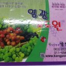 영광포도원 이미지