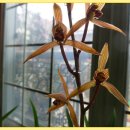 봄맞이 음악회 이미지