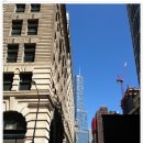 도심의 쉼터 이미지