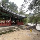 선경 양봉 네이버블로그