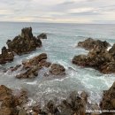 빛나는 파도의 춤 빛 이미지