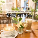 연산동 카페 후스 후기, 부산 시청역 근처 커피 맛있는 브런치카페
