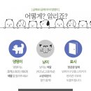 댕댕이냥 이미지