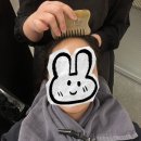 웰킨호텔 | 두피선생님 찾았다!! 하루종일 쌓인 피로 싹 - 두피 열감 각질 고민 해결: 야탑 웰킨 두피스파 후기