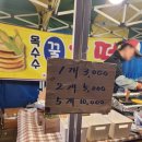 조치원_자이아파트119동 | 조치원 자이 야시장