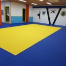 공명유도주짓수 이미지