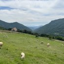 참조은 목장 이미지