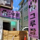 강남애견 이미지