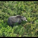 Glacier National Park Backpacking - 2024년 9월 2 - 6 일 이미지