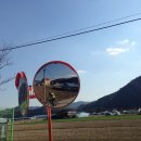 무릉도원면사무소 이미지