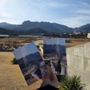 줌 갤러리카페 정이든케이크 | 속초 설악산 카페 추천 카페 긷 | 울산바위 보이는 감성 대형카페 후기